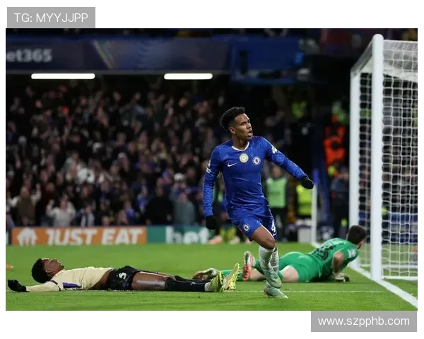 新赛季球员盘点：关键球员表现值得关注