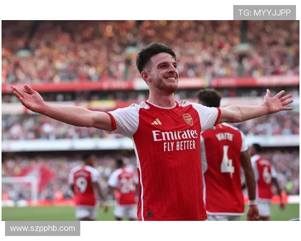 赖斯英超适应性